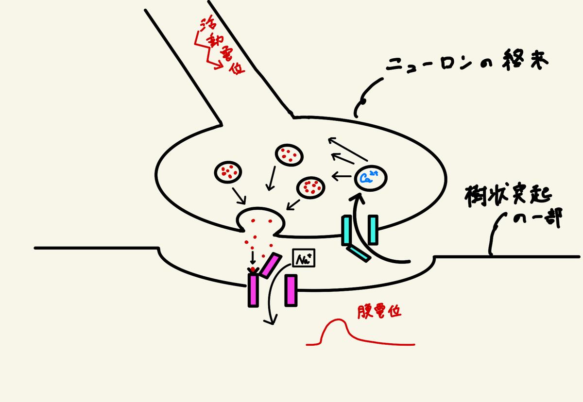 f:id:biolab:20200423193258j:plain f:id:biolab:20200423193258j:plain