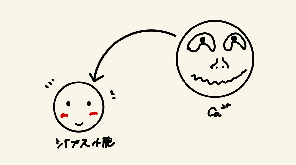 f:id:biolab:20200423195447j:plain f:id:biolab:20200423195447j:plain