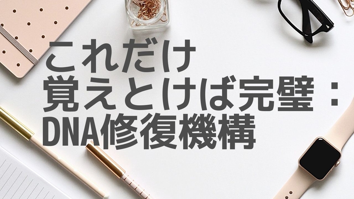 f:id:biolab:20200611202448j:plain f:id:biolab:20200611202448j:plain