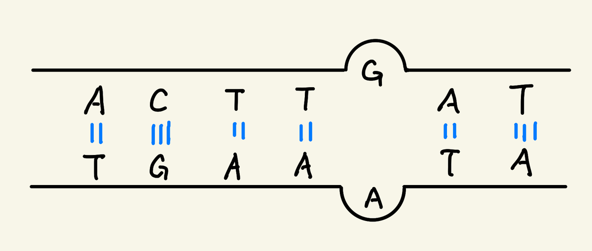 f:id:biolab:20200611202700j:plain f:id:biolab:20200611202700j:plain