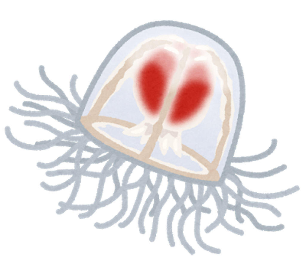 f:id:biology641:20181006233107p:image