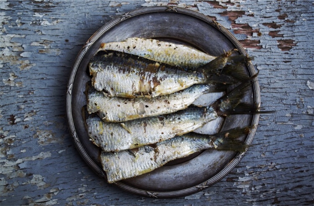 f:id:biology641:20181030183806j:image