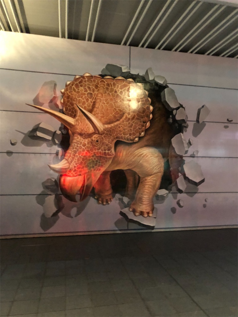 f:id:biolpyrrhogaster:20200216072215j:image f:id:biolpyrrhogaster:20200216072215j:image