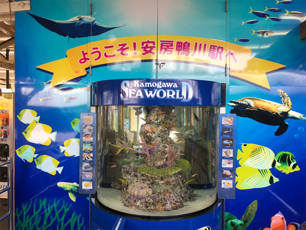 f:id:biolpyrrhogaster:20200216094911j:image