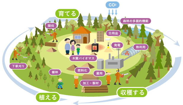 f:id:biomass-world:20170704231559p:plain f:id:biomass-world:20170704231559p:plain