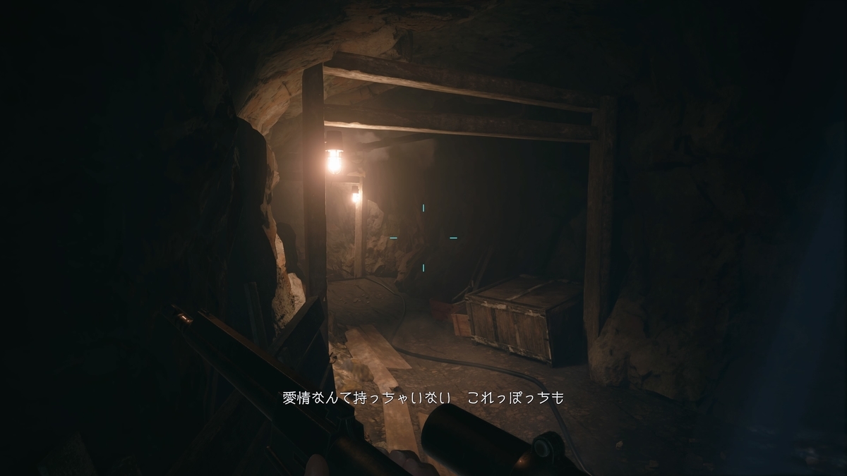 f:id:biomusae:20210705180532j:plain