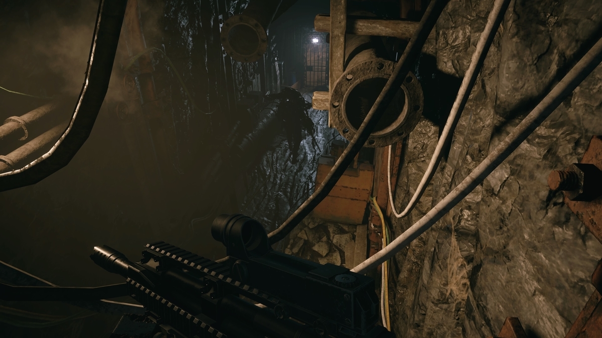 f:id:biomusae:20210705183021j:plain