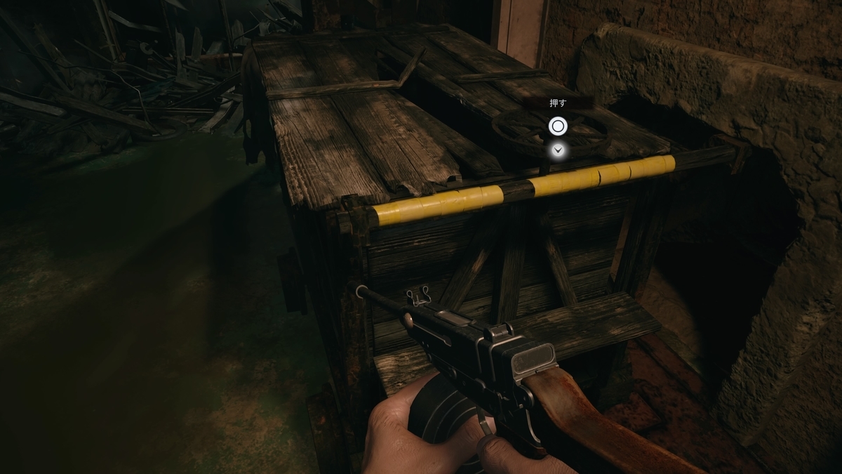 f:id:biomusae:20210705183629j:plain