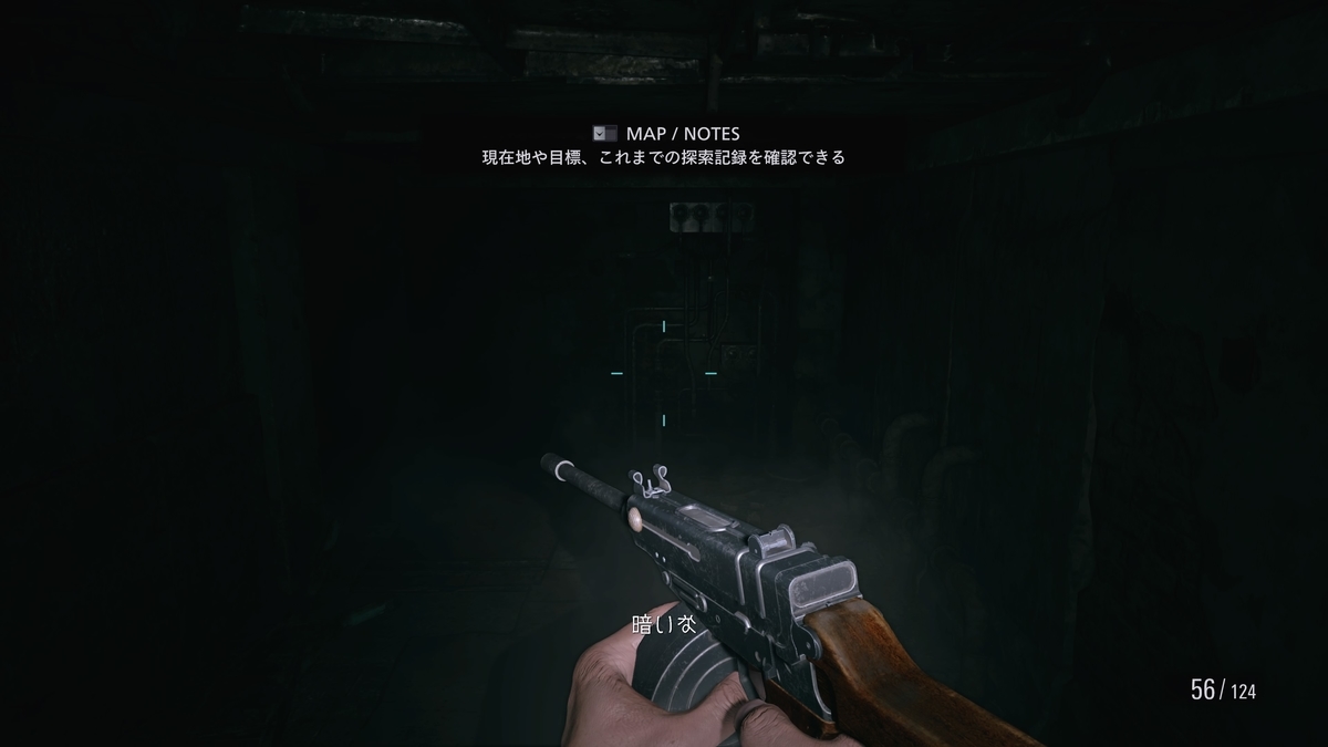 f:id:biomusae:20210705185731j:plain