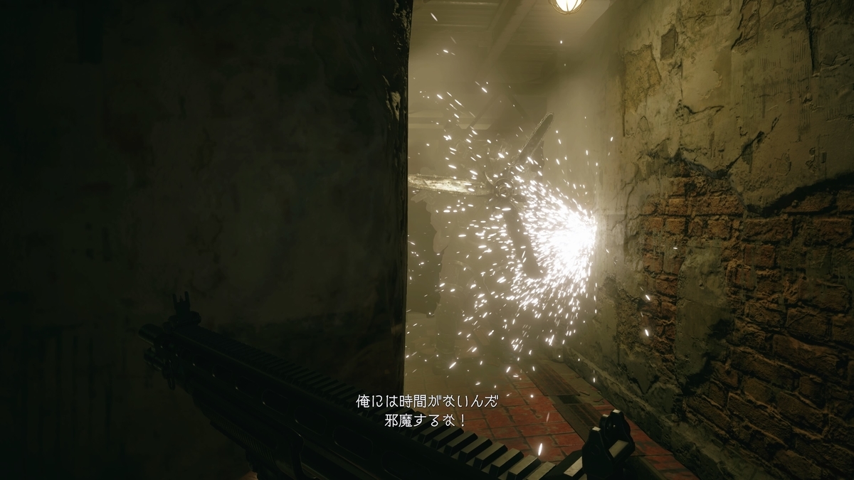 f:id:biomusae:20210705190709j:plain