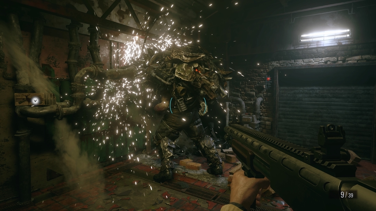 f:id:biomusae:20210705190955j:plain