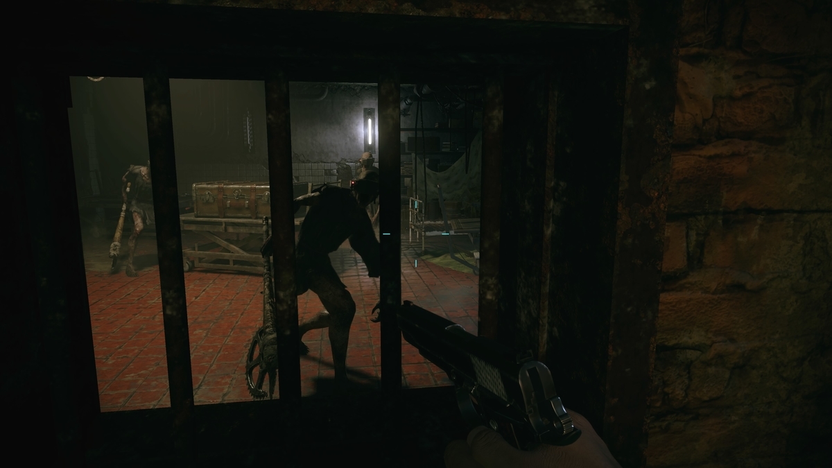 f:id:biomusae:20210705193538j:plain