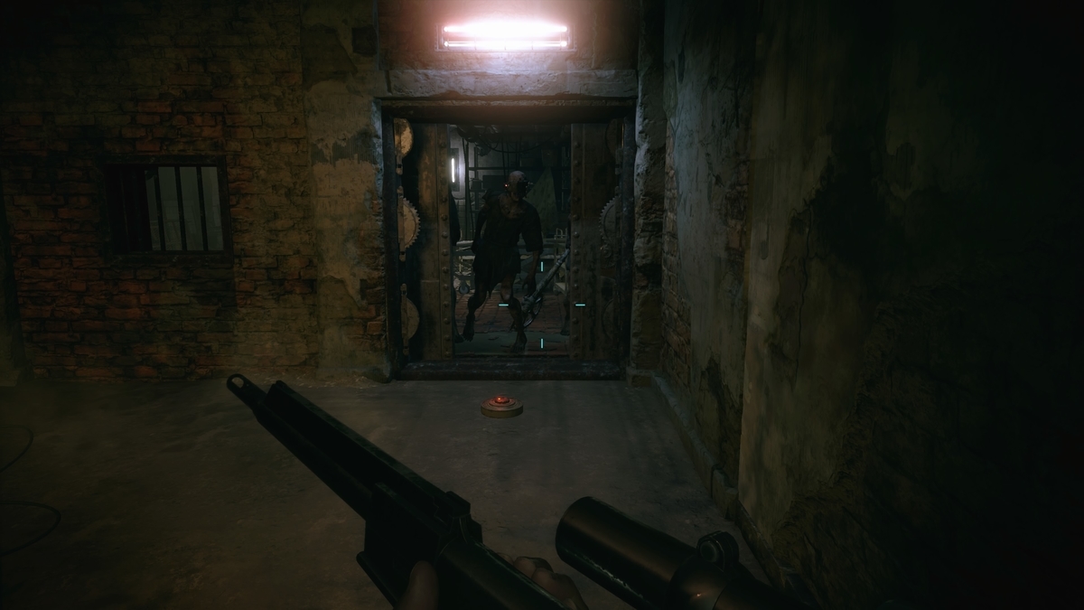 f:id:biomusae:20210705193754j:plain