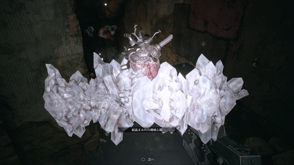 f:id:biomusae:20210705195247j:plain