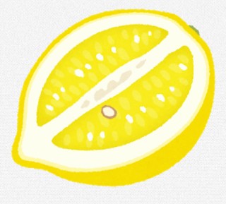 f:id:birdbear:20190217233051j:plain f:id:birdbear:20190217233051j:plain