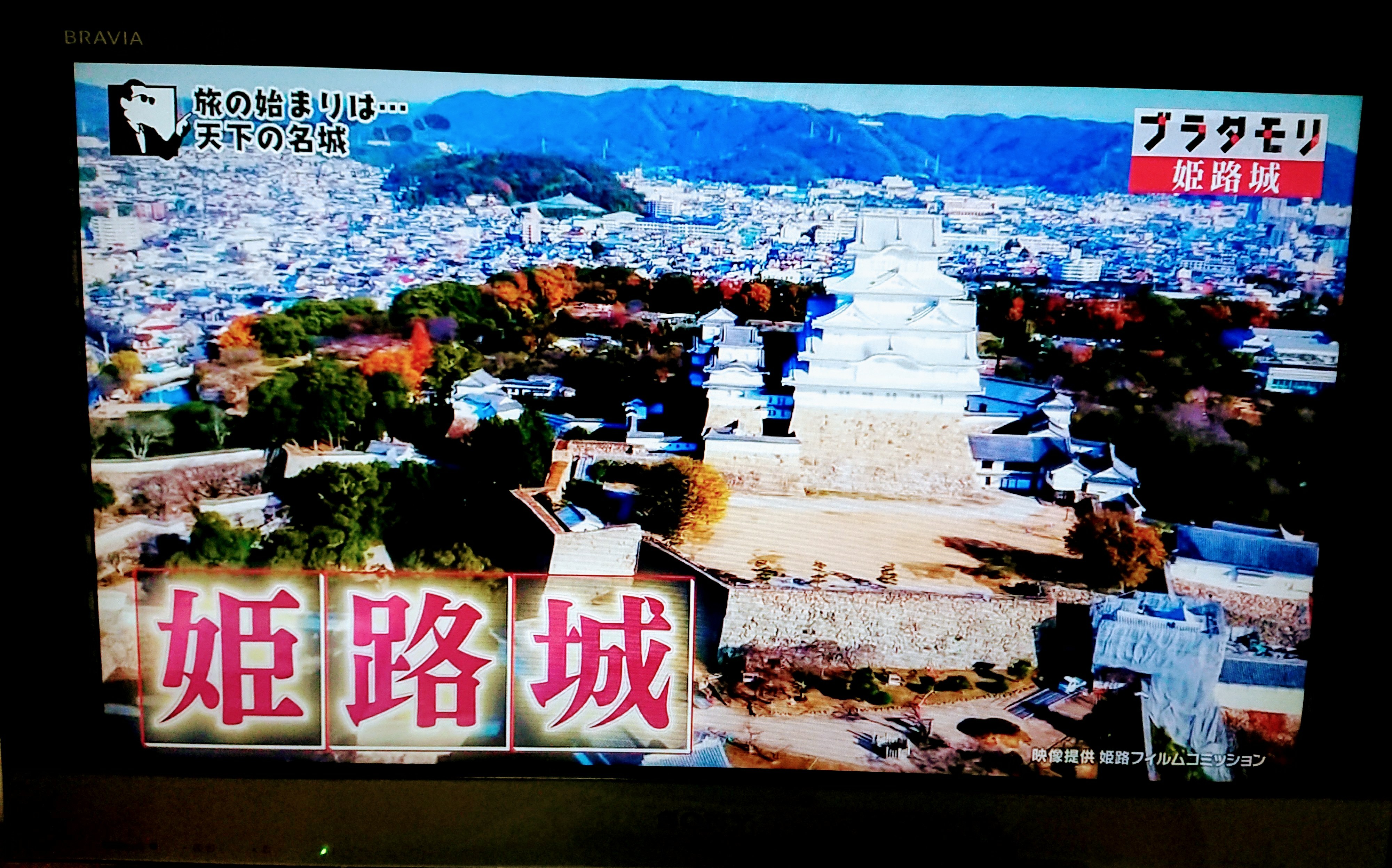 f:id:birdbear:20191215230325j:plain f:id:birdbear:20191215230325j:plain
