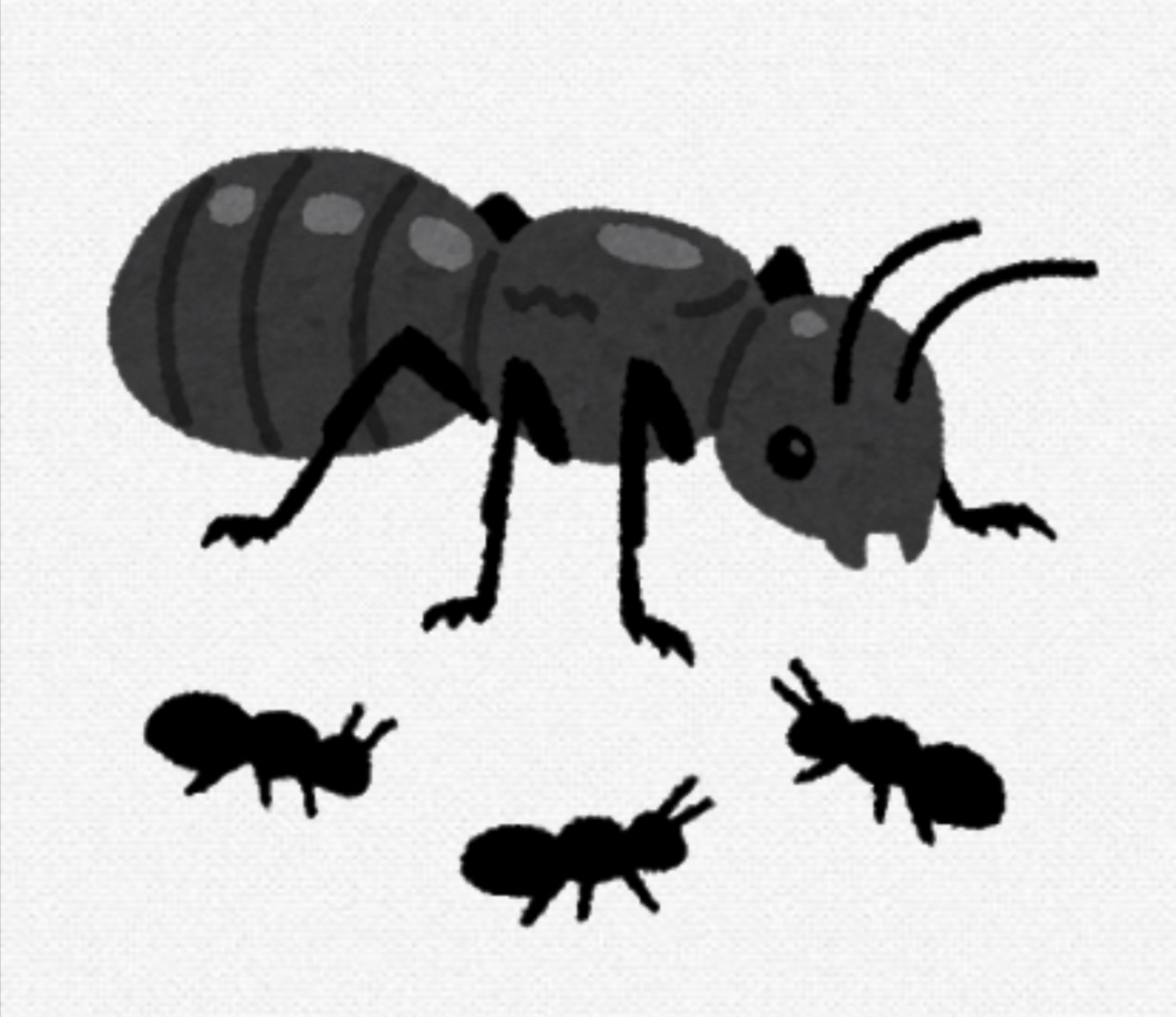 f:id:birdbear:20200521215020j:plain f:id:birdbear:20200521215020j:plain