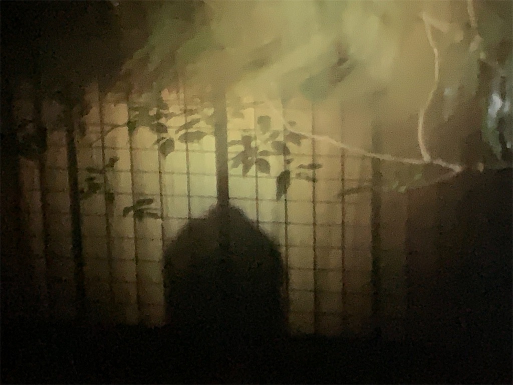 f:id:birdheads:20231015220931j:image