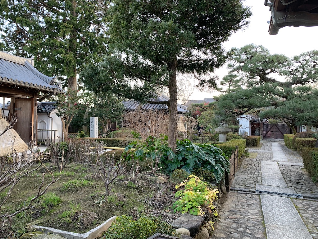 f:id:birdheads:20240114215611j:image f:id:birdheads:20240114215611j:image