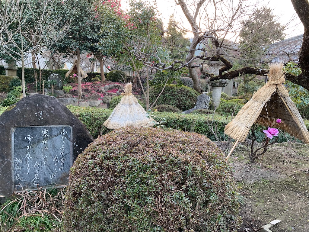 f:id:birdheads:20240114222503j:image f:id:birdheads:20240114222503j:image