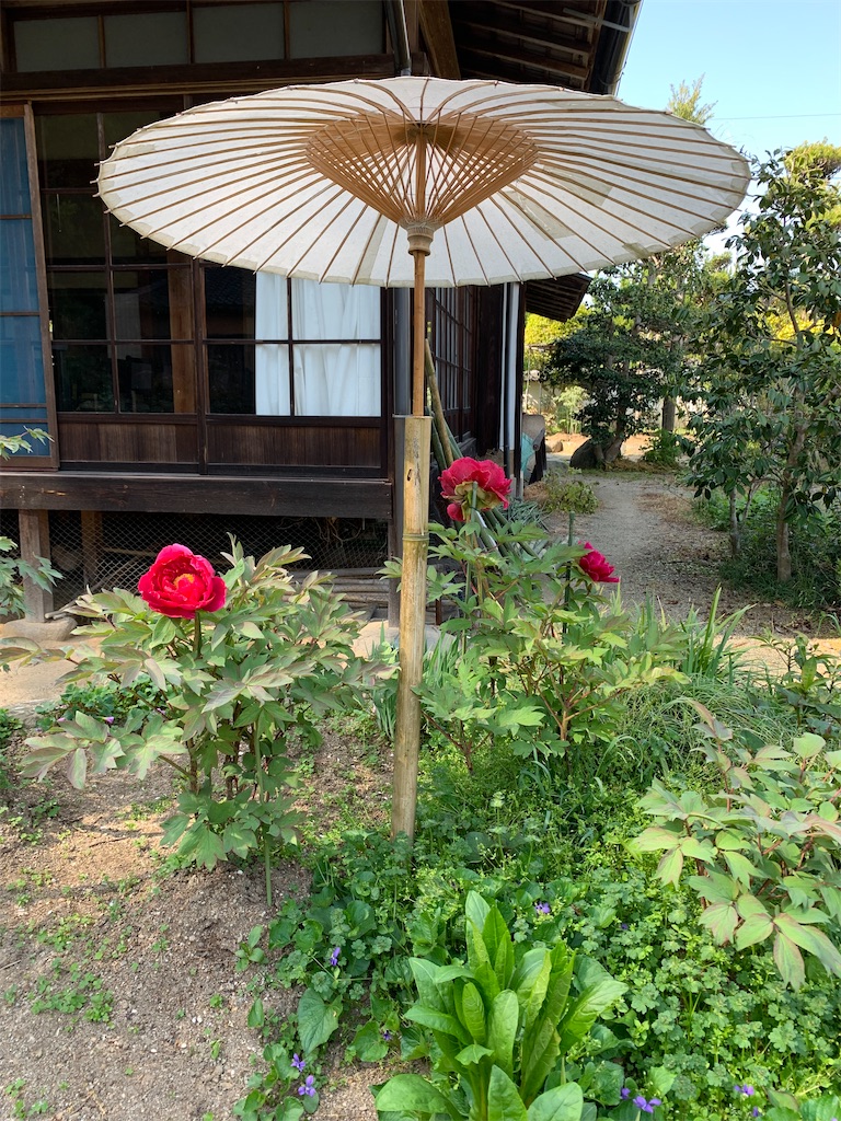 f:id:birdheads:20240415100909j:image