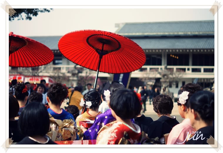 池坊献華祭 - 鳥や自然と触れ合う時間