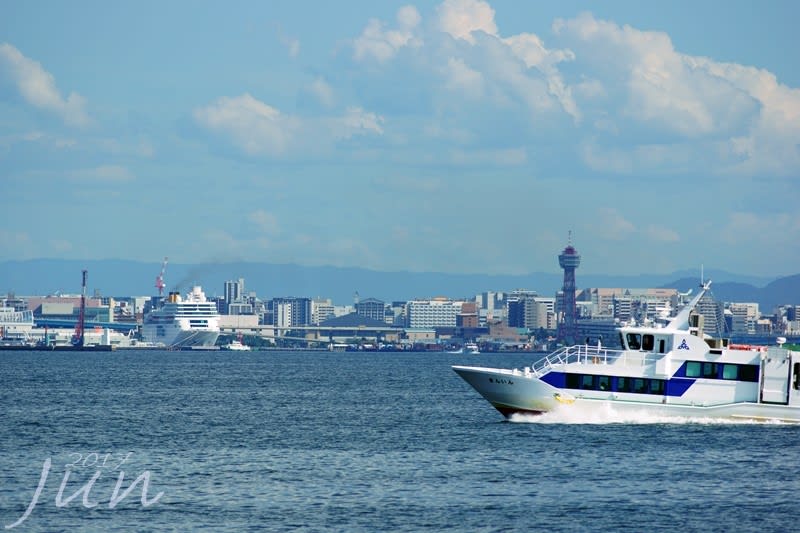 博多湾の船 - 鳥や自然と触れ合う時間