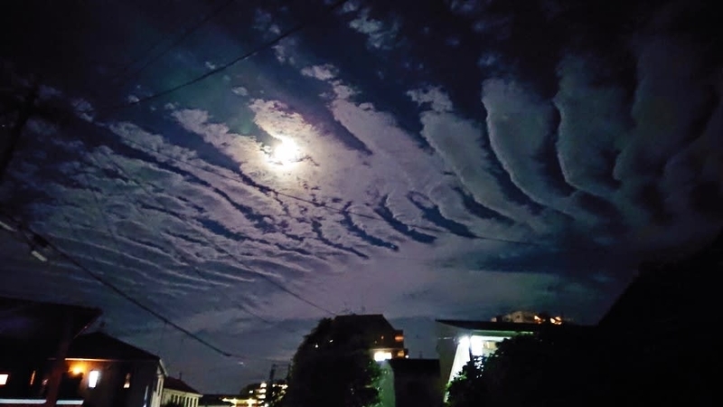 波状雲と月 - 鳥や自然と触れ合う時間