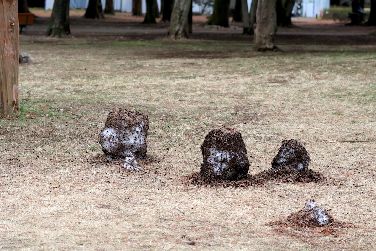 代々木公園の閲兵式の松の近くにあった雪だるま