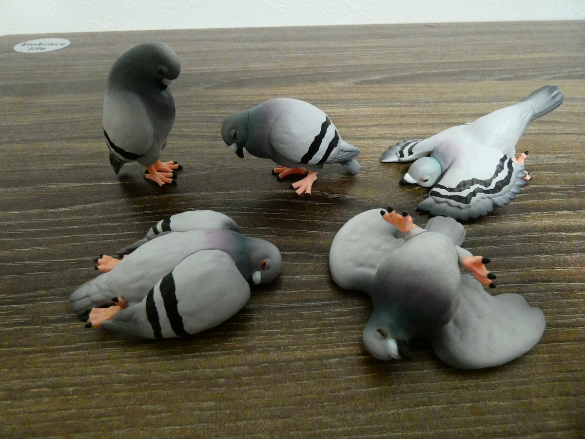 ハトのフィギュアを2種類紹介 みにくいドバトの子