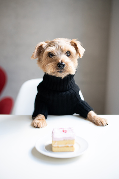 f:id:biscuitbiscuit:20190102141812j:plain