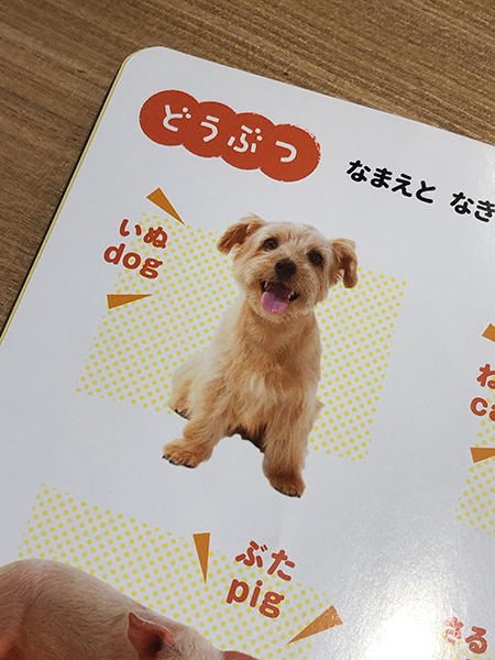 f:id:biscuitbiscuit:20191015161121p:plain