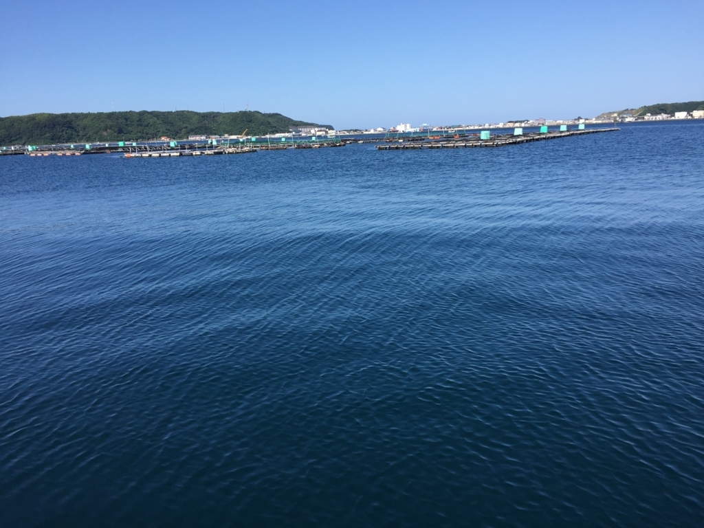 f:id:biscuitroom:20180606083205j:plain f:id:biscuitroom:20180606083205j:plain