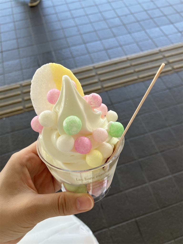 f:id:biscuitroom:20240820064529j:image