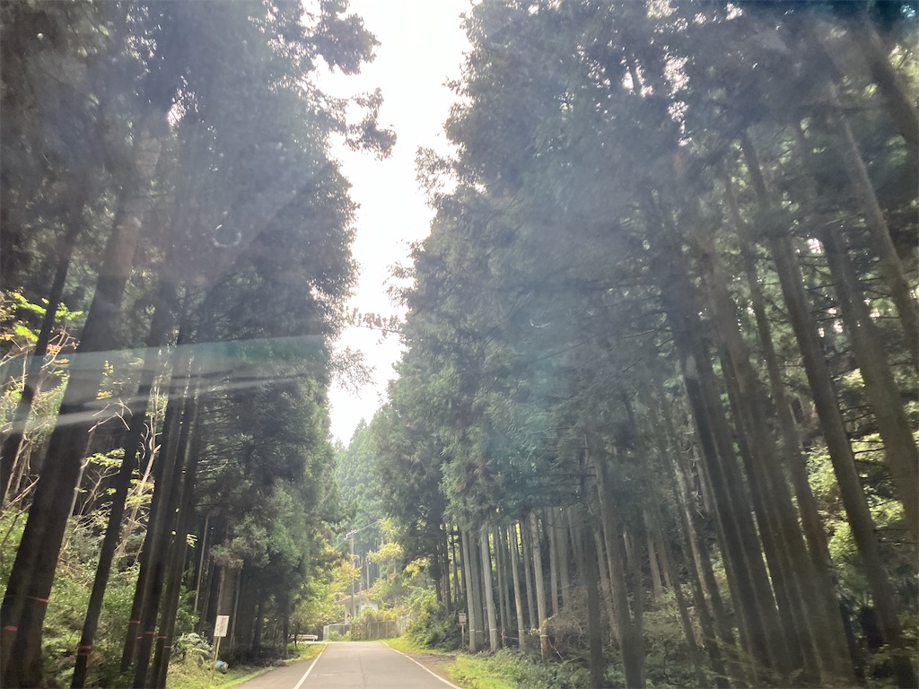 f:id:biscuitroom:20241106111953j:image