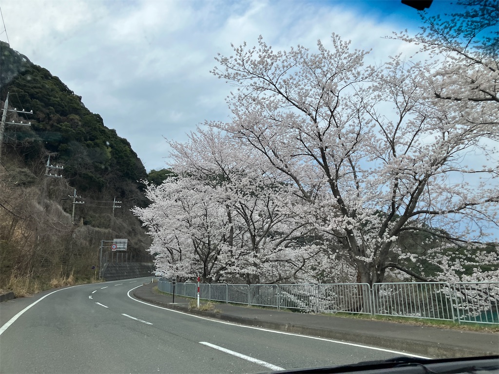 f:id:biscuitroom:20250409171638j:image