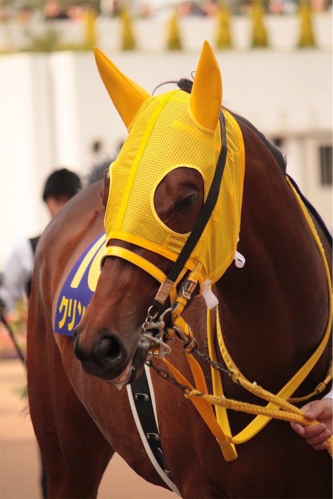 f:id:bishuniyoe:20170914194230j:image