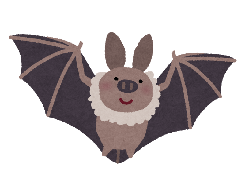 f:id:biskun:20161008150024p:plain f:id:biskun:20161008150024p:plain