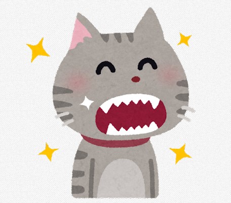 f:id:biskun:20211013131908j:plain