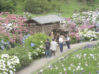 f:id:biso:20100621070812j:image