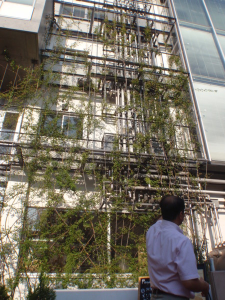 f:id:biso:20100914074318j:image