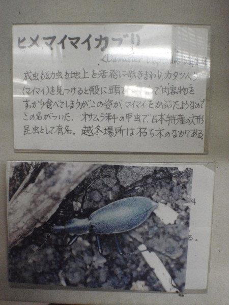 f:id:biso:20100918100407j:image