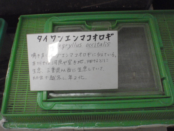 f:id:biso:20100918100540j:image