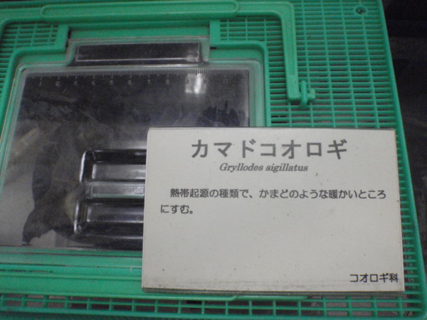 f:id:biso:20100918100753j:image