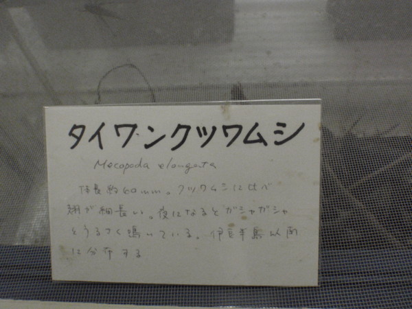 f:id:biso:20100918100859j:image