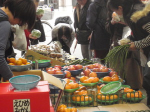 20101029163103