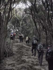 f:id:biso:20110228085416j:image