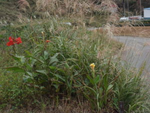 20111005071517