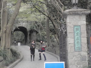 f:id:biso:20111031071812j:image