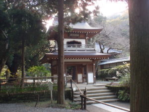 20111119071159